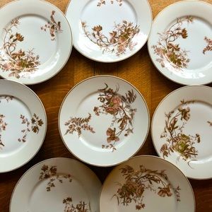 Limoges dinnerware. Mid century colors. Excellent condition.